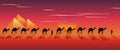 Caravan of camels in the desert