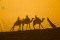 A caravan of camels. Desert in Morocco Royalty Free Stock Photo