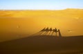 A caravan of camels. Desert in Morocco Royalty Free Stock Photo