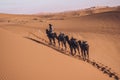 Caravan of camels in the Erg Chebli Desert in Morocco Royalty Free Stock Photo