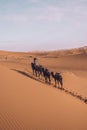 Caravan of camels in the Erg Chebli Desert in Morocco Royalty Free Stock Photo