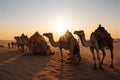 Caravan camels resting. Generate Ai