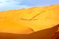 A caravan of camels among the sand dunes in the Sahara Desert. Africa. Morocco. Royalty Free Stock Photo