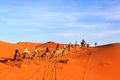 Caravan of camels with tourist in the desert at sunset Royalty Free Stock Photo