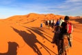 Caravan of camels with tourist in the desert at sunset Royalty Free Stock Photo