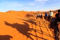 Caravan of camels with tourist in the desert at sunset Royalty Free Stock Photo