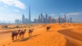 caravan of camels is walking in desert in background of skyscrapers of city of Dubai Royalty Free Stock Photo