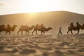 Caravan of camels walking in desert at sunset Royalty Free Stock Photo