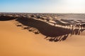 Caravan of camels walking in dunes
