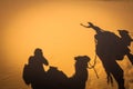 Caravan camels walking shadows projected over orange sand dunes Royalty Free Stock Photo