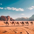 A caravan of camels wandering across the Wadi Rum desert, Jordan