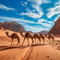 A caravan of camels wandering across the Wadi Rum desert, Jordan