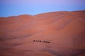 Caravan crossing in Sahara Desert, Morocco Royalty Free Stock Photo