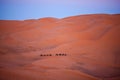 Caravan crossing in Sahara Desert, Morocco Royalty Free Stock Photo