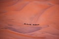 Caravan crossing in Sahara Desert, Morocco