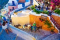 Caravan of donkeys moving narrow cobbled street Oia Santorini Greece