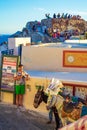 Caravan of donkeys moving narrow cobbled street Oia Santorini Greece Royalty Free Stock Photo