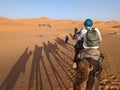 A caravan of dromedaries passing the Sahara desert in the evening