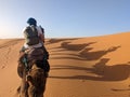 A caravan of dromedaries passing the Sahara desert in the evening