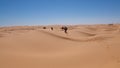 Caravan of camels in the Sahara Desert, in Tunisia