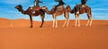 Caravan going through the sand dunes in the Sahara Desert, Morocco - Merzuga - tourist visit the desert on camels during the Royalty Free Stock Photo