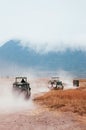 Jeep car running in golden grass field in Ngorongoro, Serengeti Tanzania Savanna forest Safari trip Royalty Free Stock Photo