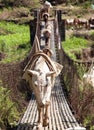 Caravan of mules on rope hanging suspension bridge