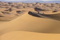 Caravan in Sahara Desert Royalty Free Stock Photo