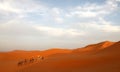 Caravan among the sand dunes Royalty Free Stock Photo