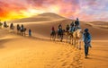 Caravan walking in Merzouga Sahara desert Royalty Free Stock Photo