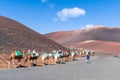 Caravan walking in Timinfaya National Park