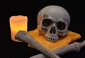 Caravel looking straight ahead next to a candle of orange light and two bones in front Royalty Free Stock Photo