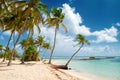 Caravelle beach, Saint Anne, Guadeloupe, French West Indies Royalty Free Stock Photo