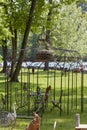 Wrought iron gazebo and outdoor furniture in spring during Tre Giorni per il Giardino fair at