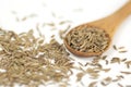 Caraway (Carum carvi) seeds background