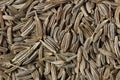 Caraway (Carum carvi) seeds background