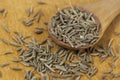 Caraway (Carum carvi) seeds Royalty Free Stock Photo