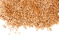 Caraway cumin seeds