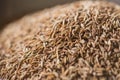 Caraway dried seeds, aroma herb for Indian food