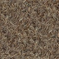 Caraway grain macro seamless texture