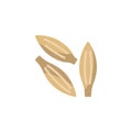 Caraway seed flat icon