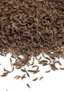 Caraway Seeds, carum carvi Royalty Free Stock Photo