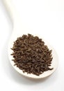 CARAWAY SEEDS carum carvi IN A WOODEN SPOON