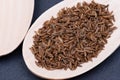 Caraway Seeds in handmade wooden spoon on dark. Seasoning Spices. Carum Carvi.