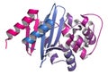 Carbapenemase carbapenem antibiotic resistance enzyme. Carbapenemase OXA-24 from the bacterium Acinetobacter baumannii