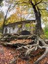 Carbide Willson Ruins