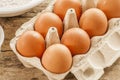 Carboard with chicken eggs. Royalty Free Stock Photo