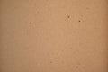 Carboard texture Royalty Free Stock Photo