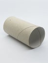 Carboard toilet paper rolls