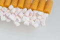 Carbohydrate sweets, waffle tubes and marshmallow, macro food photography